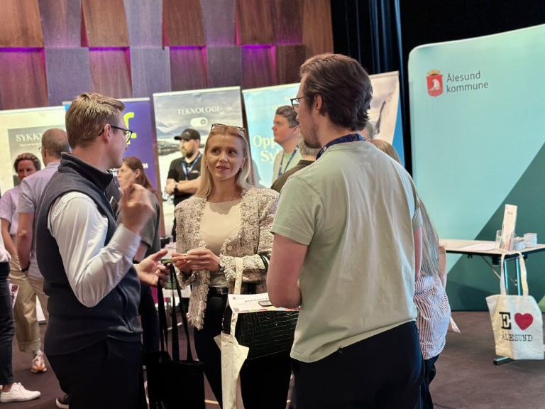 BMH aalesund kommune stand